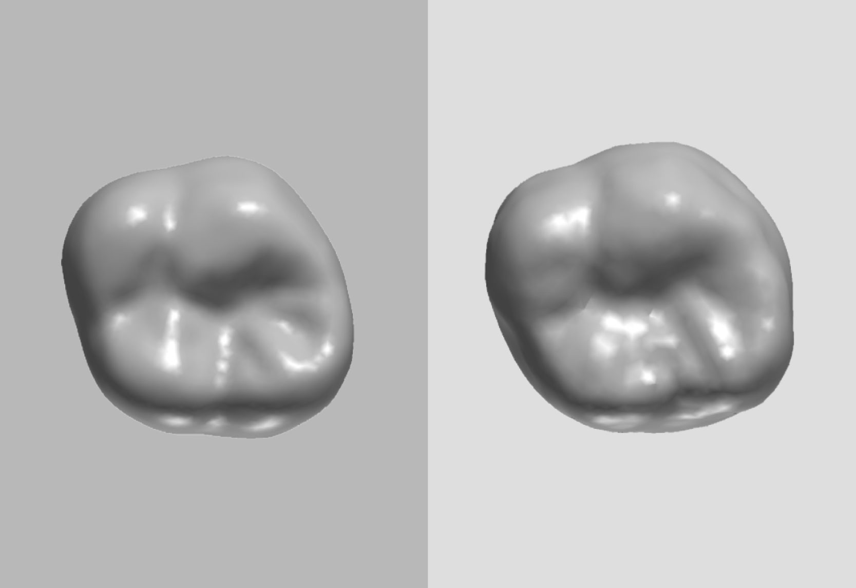 Natural tooth (left) compared with tooth tailored by generative AI (right)