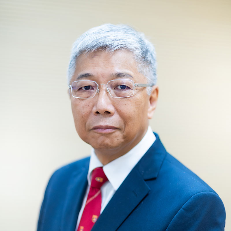 Professor TW Chow