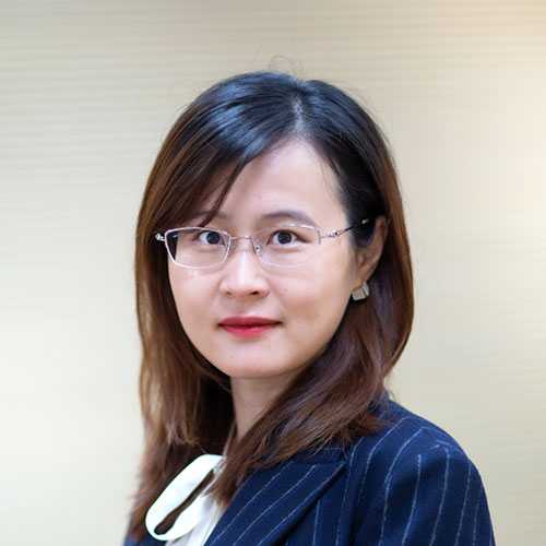 Dr Chen, Hui  portrait