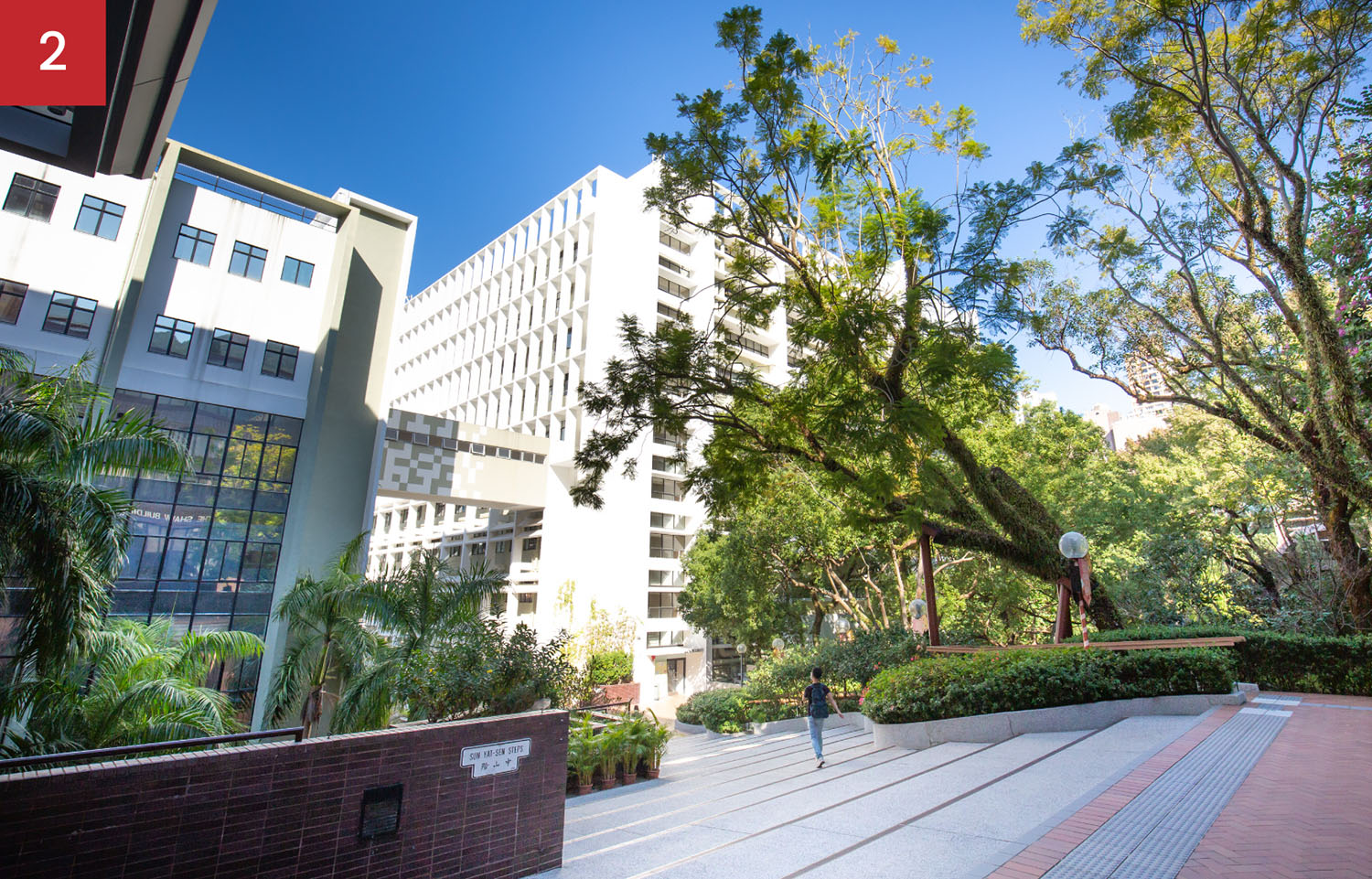 HKU Faculty of Dentistry