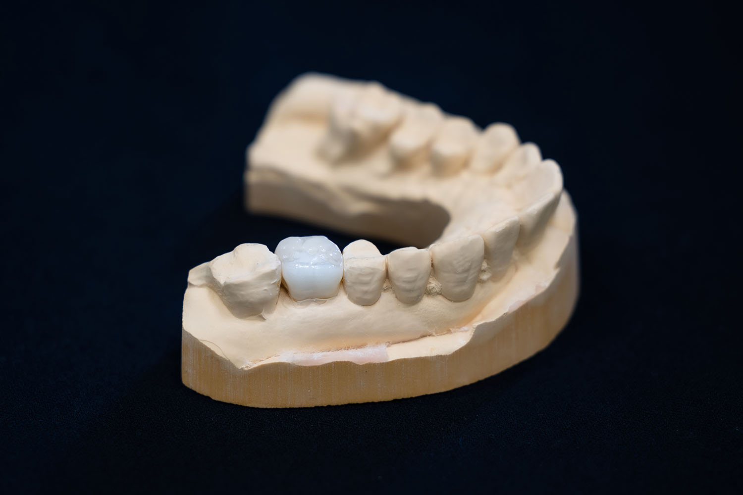 Cross Disciplinary Collaboration