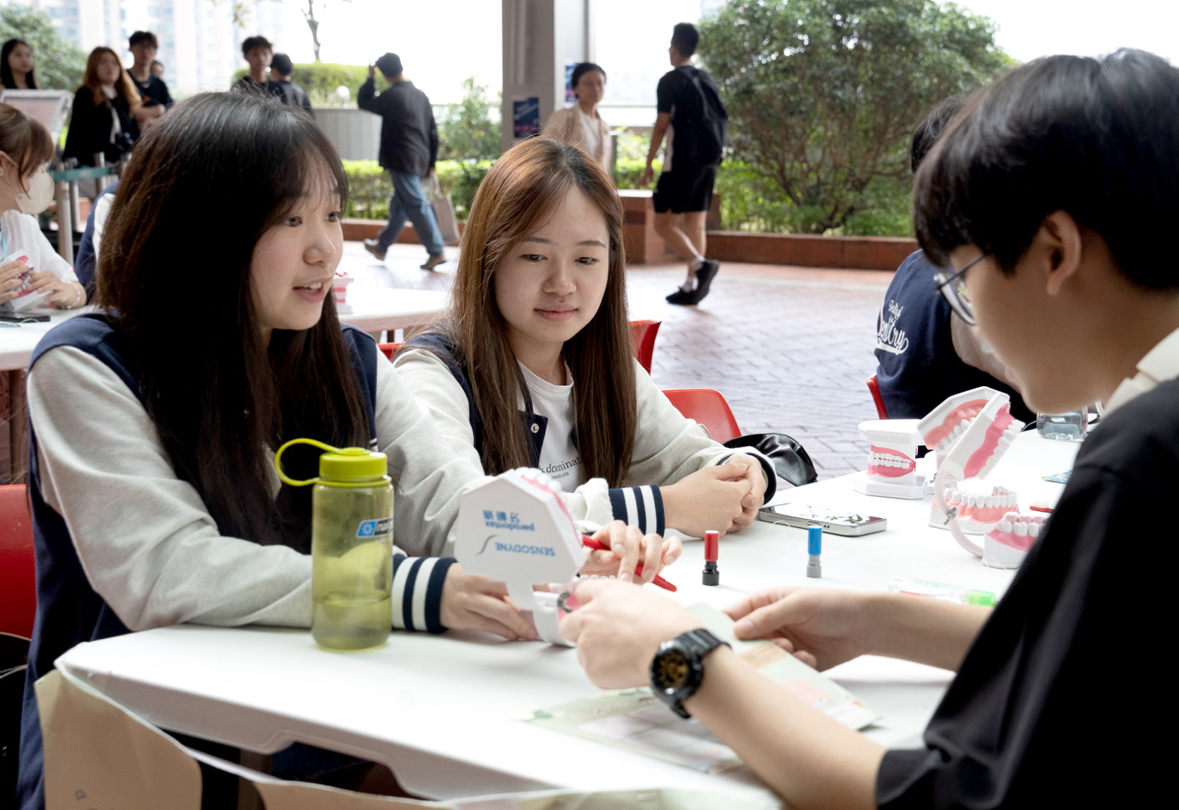 Student-led Oral Health Exhibition