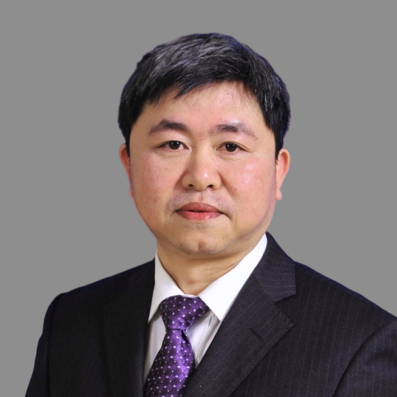 Professor Dong WU